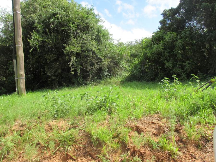 0 Bedroom Property for Sale in Bathurst Eastern Cape